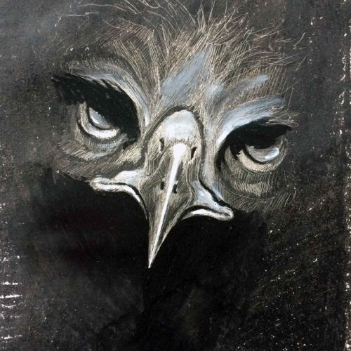 série sur les aigles