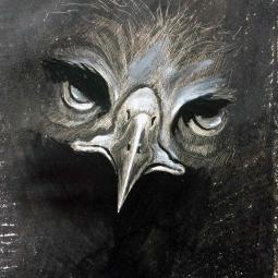 série sur les aigles