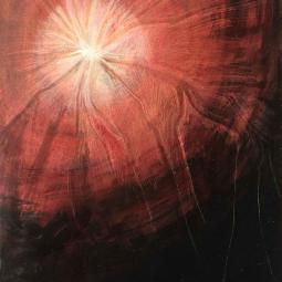 série sur les aigles